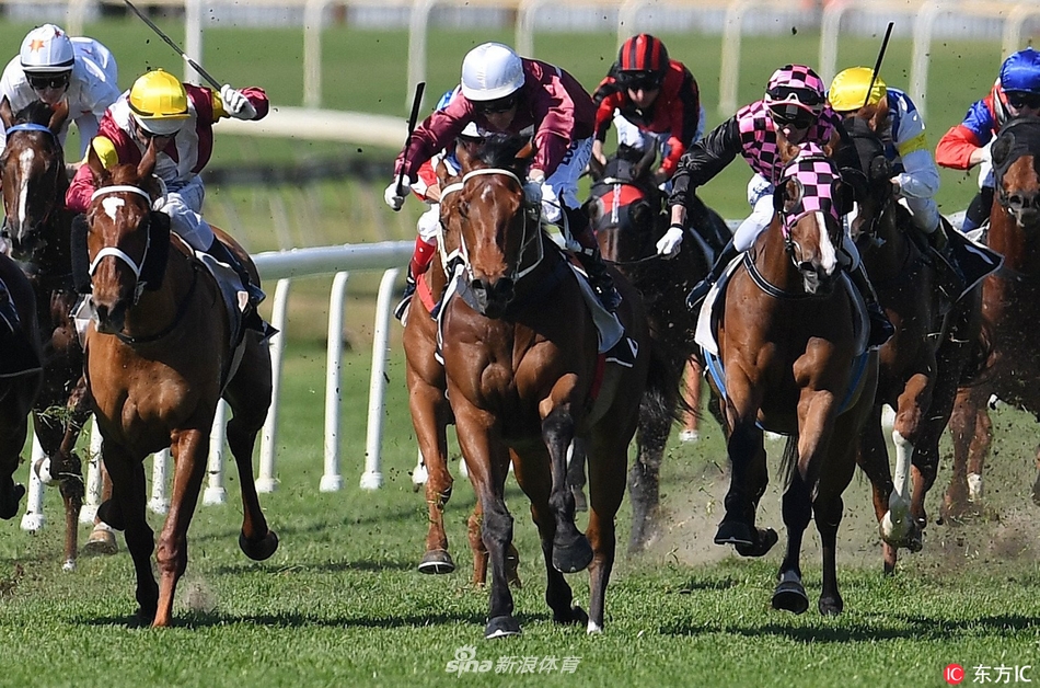 澳大利亚举行赛马比赛悉尼墨尔本等联动开赛