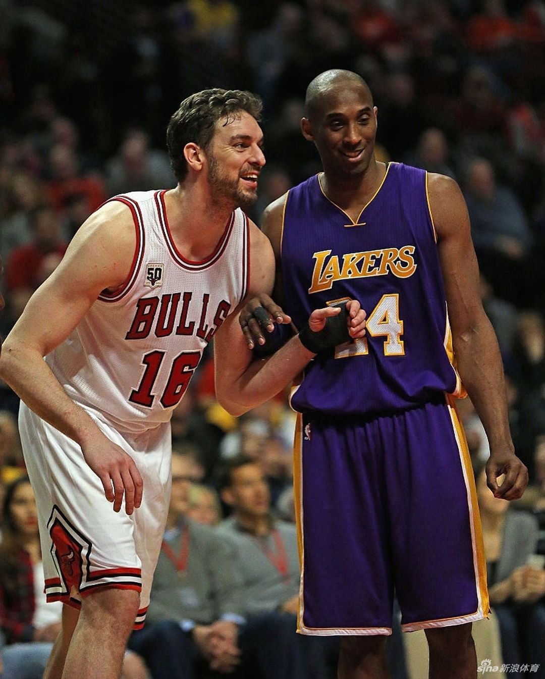 科比vs大加索尔