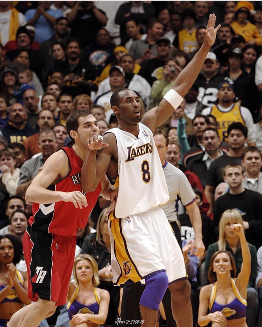 科比81分13周年纪念 回望神级表现