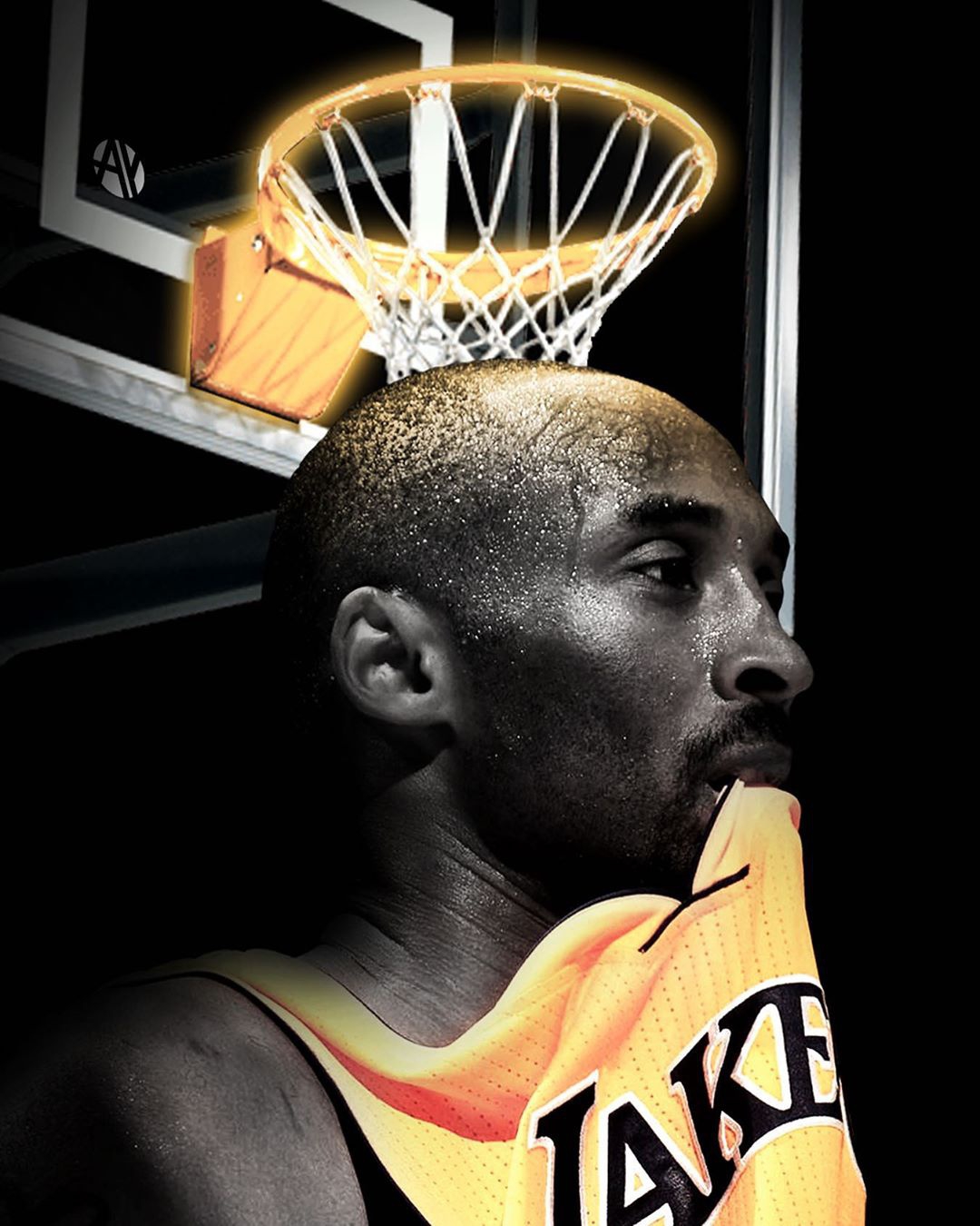 科比手机壁纸:永远的传奇 每天与你相见_高清图集_新浪网