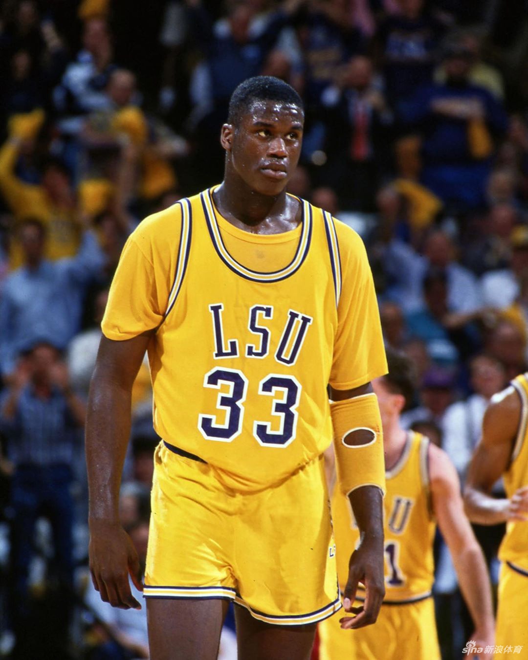 NBA球星大学时期青涩老照片 乔丹库里罗斯年少时光