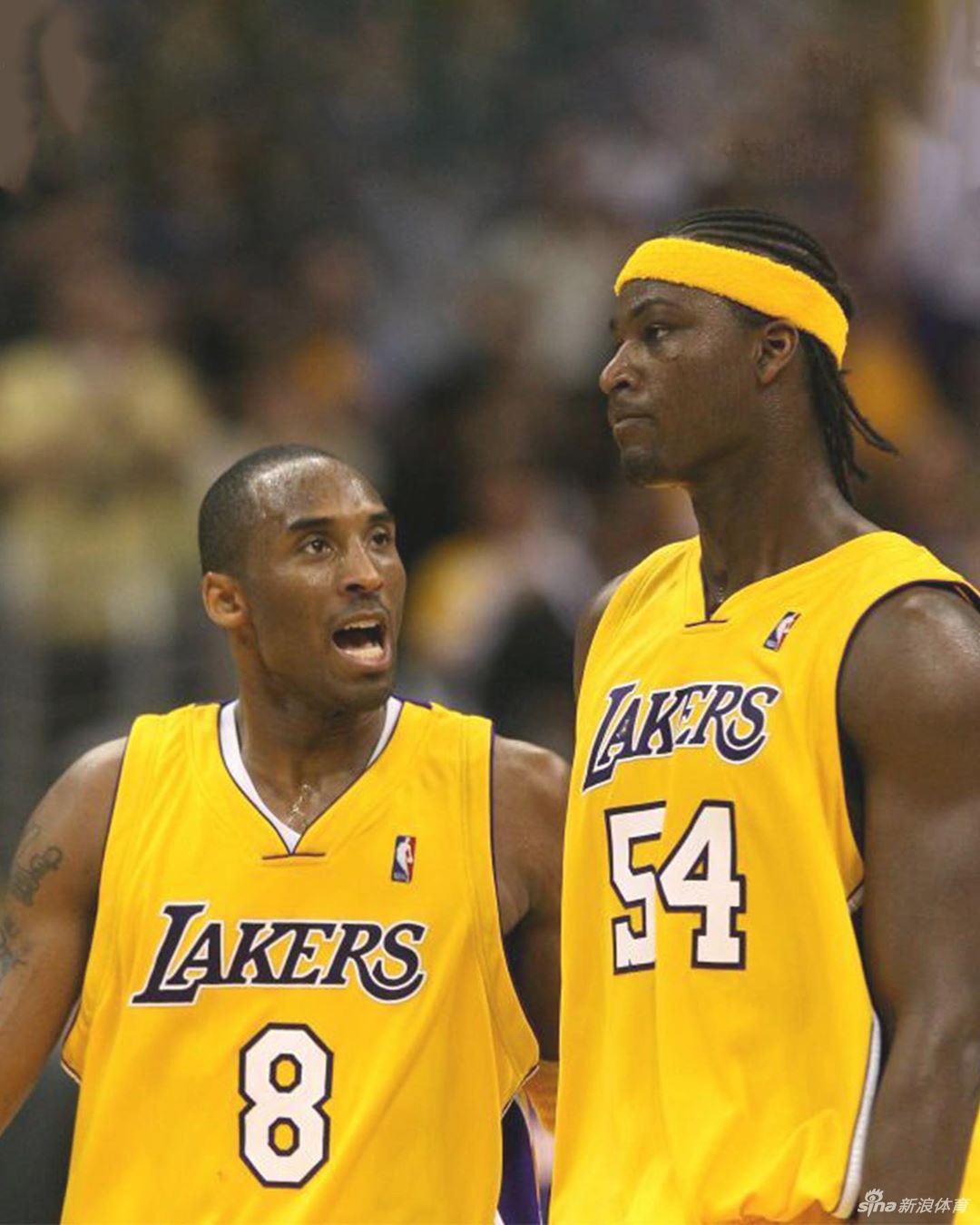 水货状元布朗给乔丹科比当小弟的时光 求心理阴影面积