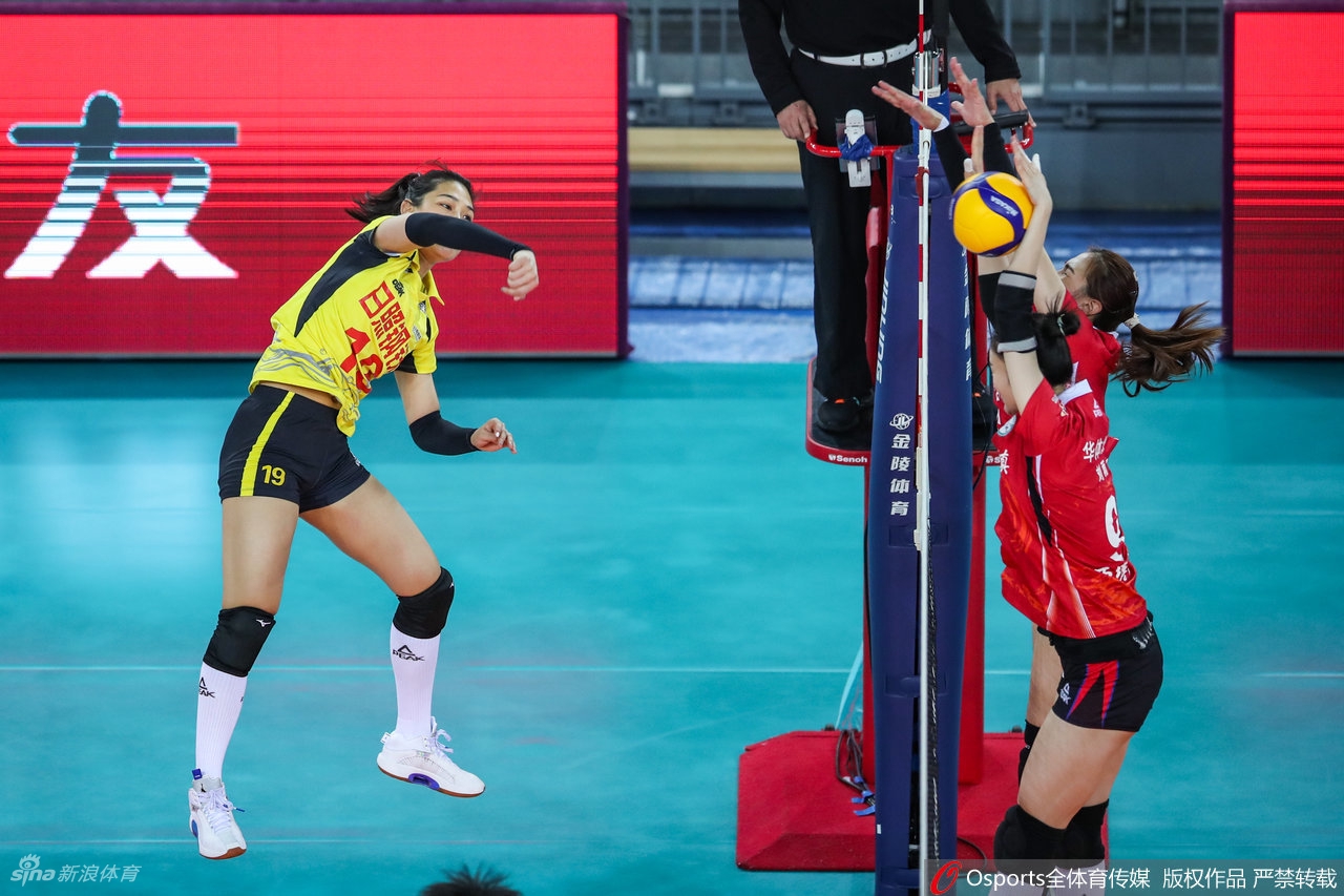 [女排联赛]山东女排3-0胜浙江