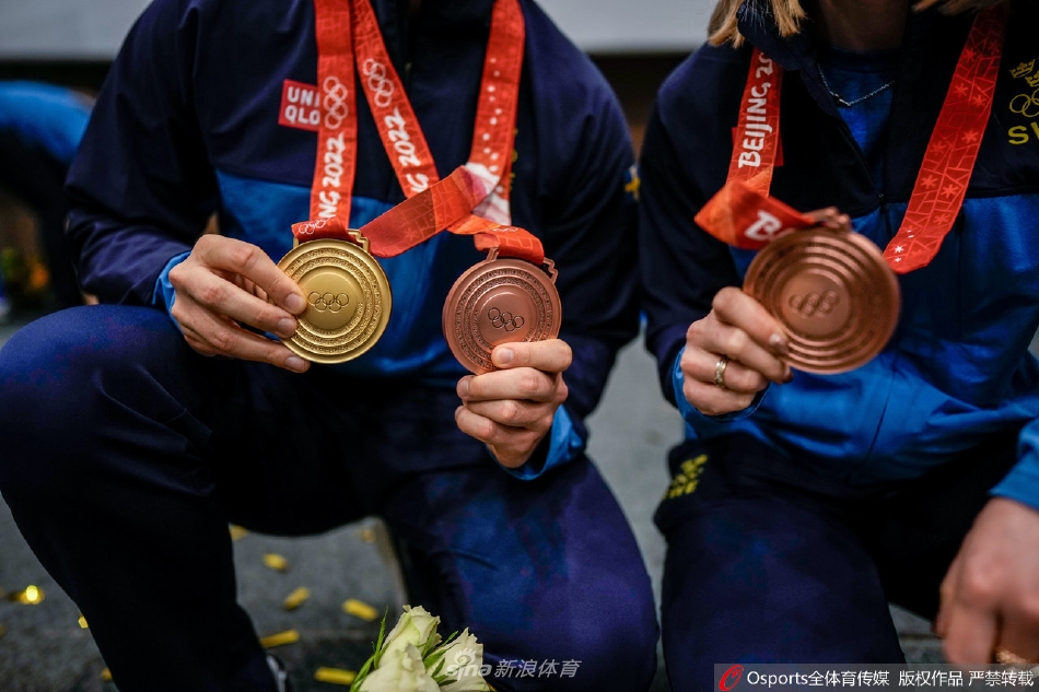 瑞典代表团载誉回国