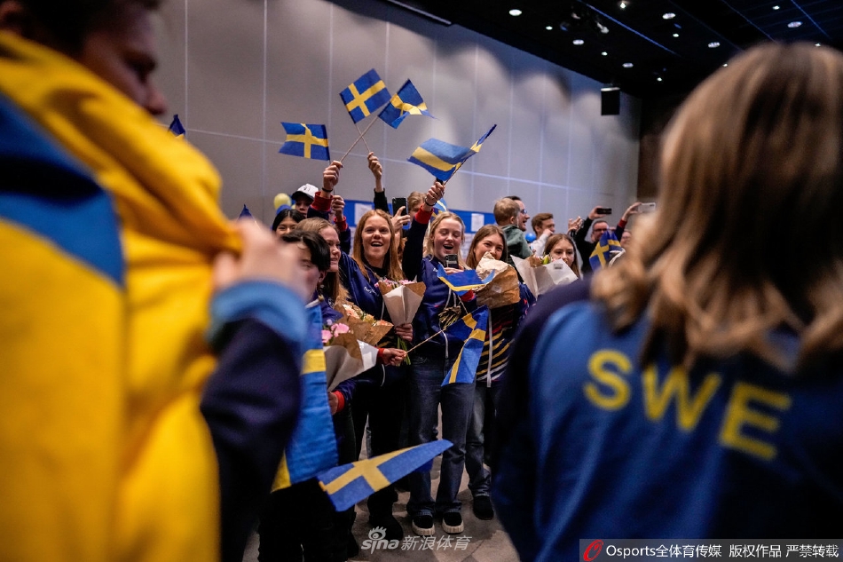 瑞典代表团载誉回国