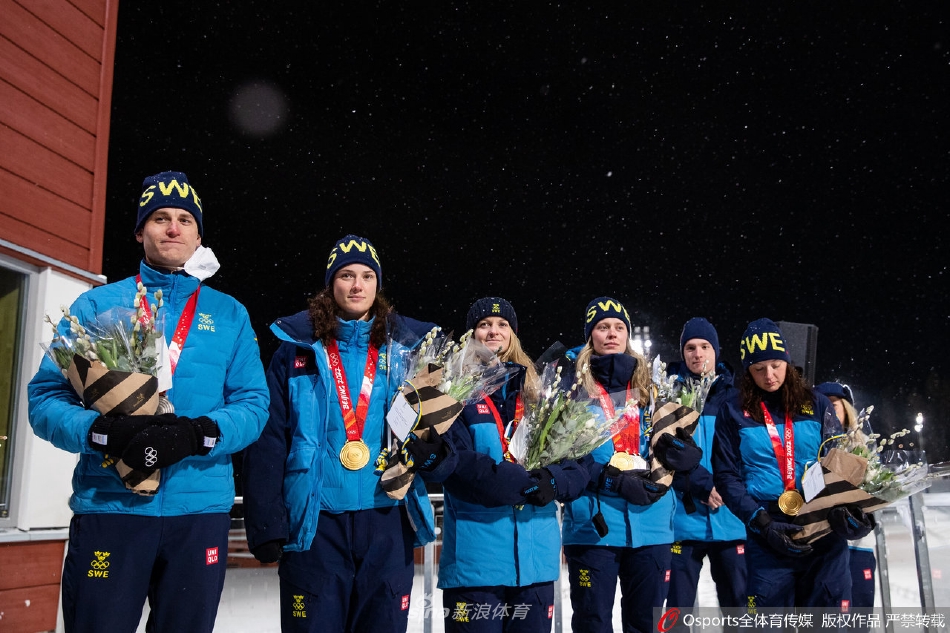 瑞典代表团载誉回国