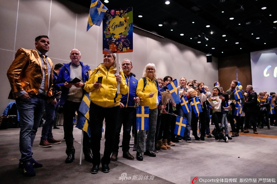 瑞典代表团载誉回国