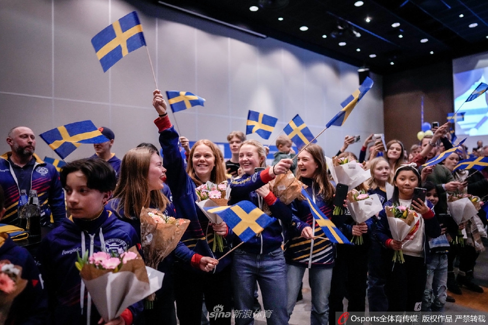 瑞典代表团载誉回国