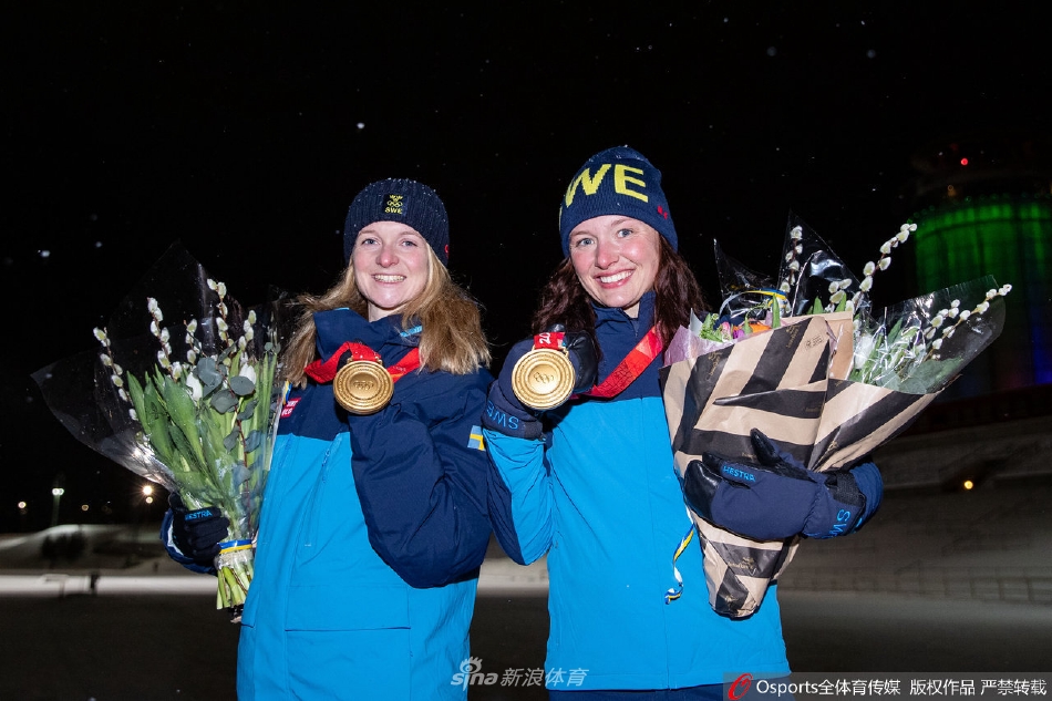 瑞典代表团载誉回国