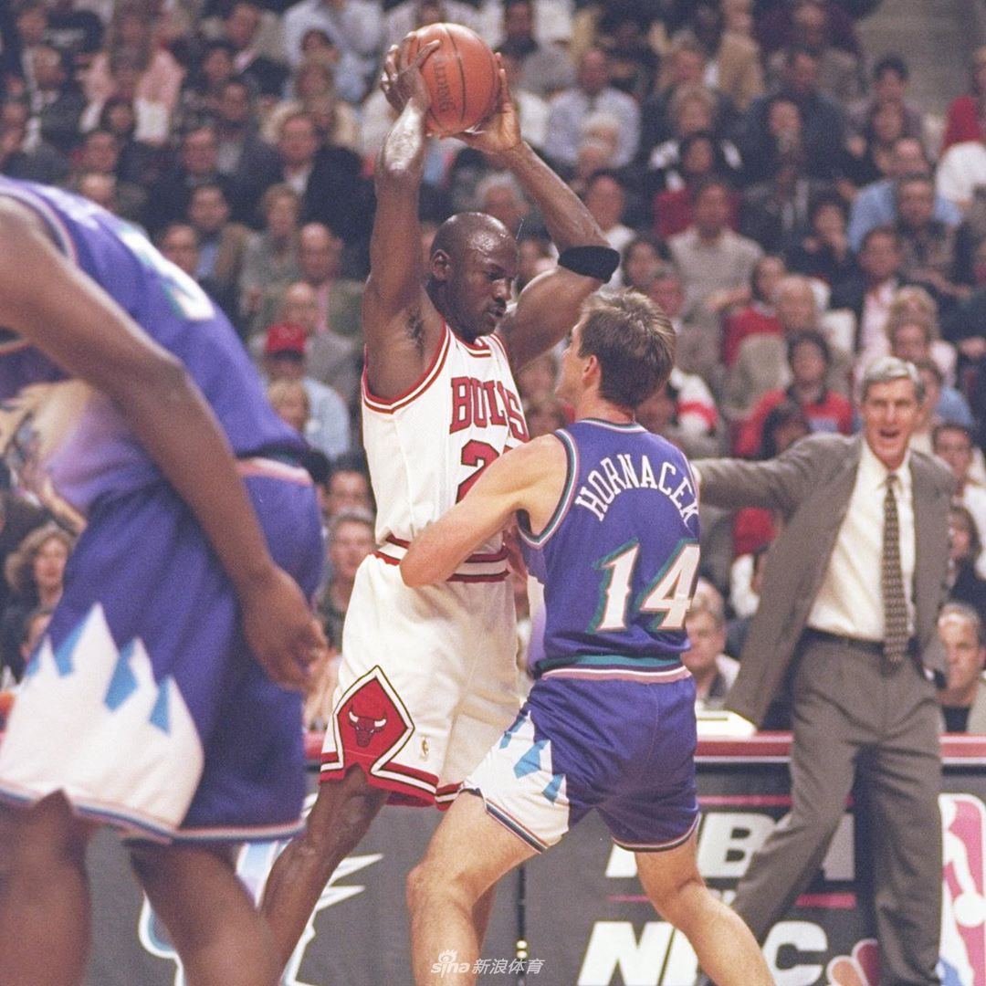 霍纳塞克vs乔丹