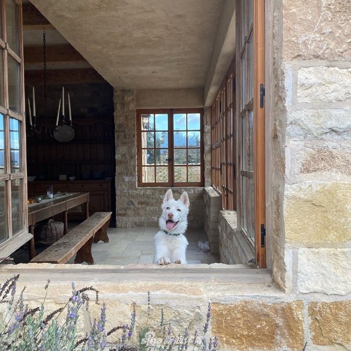 幸福甜蜜！库兹马与女友享受度假生活