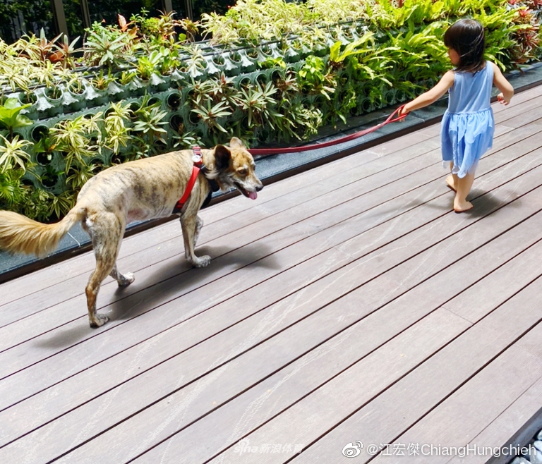 江宏杰感慨女儿瞬间长大 小小爱近照像极了福原爱