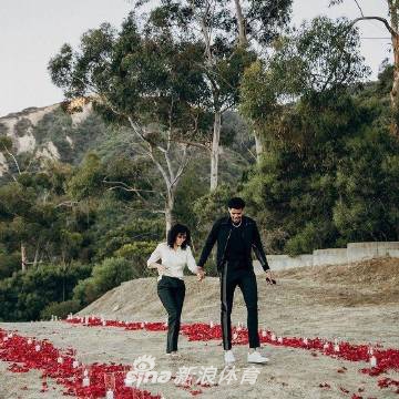 祝贺！哈里斯求婚成功