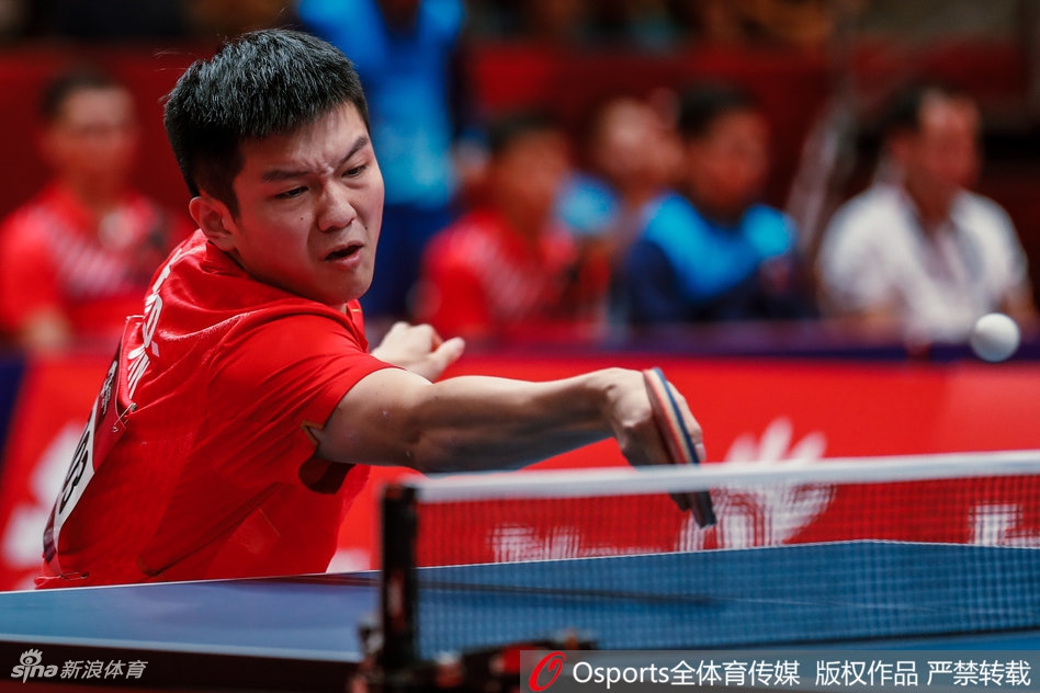 樊振东奋力回球