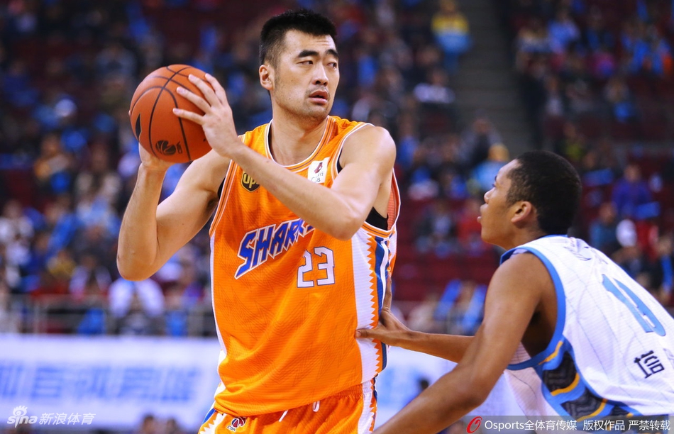 常规赛本土盖帽王