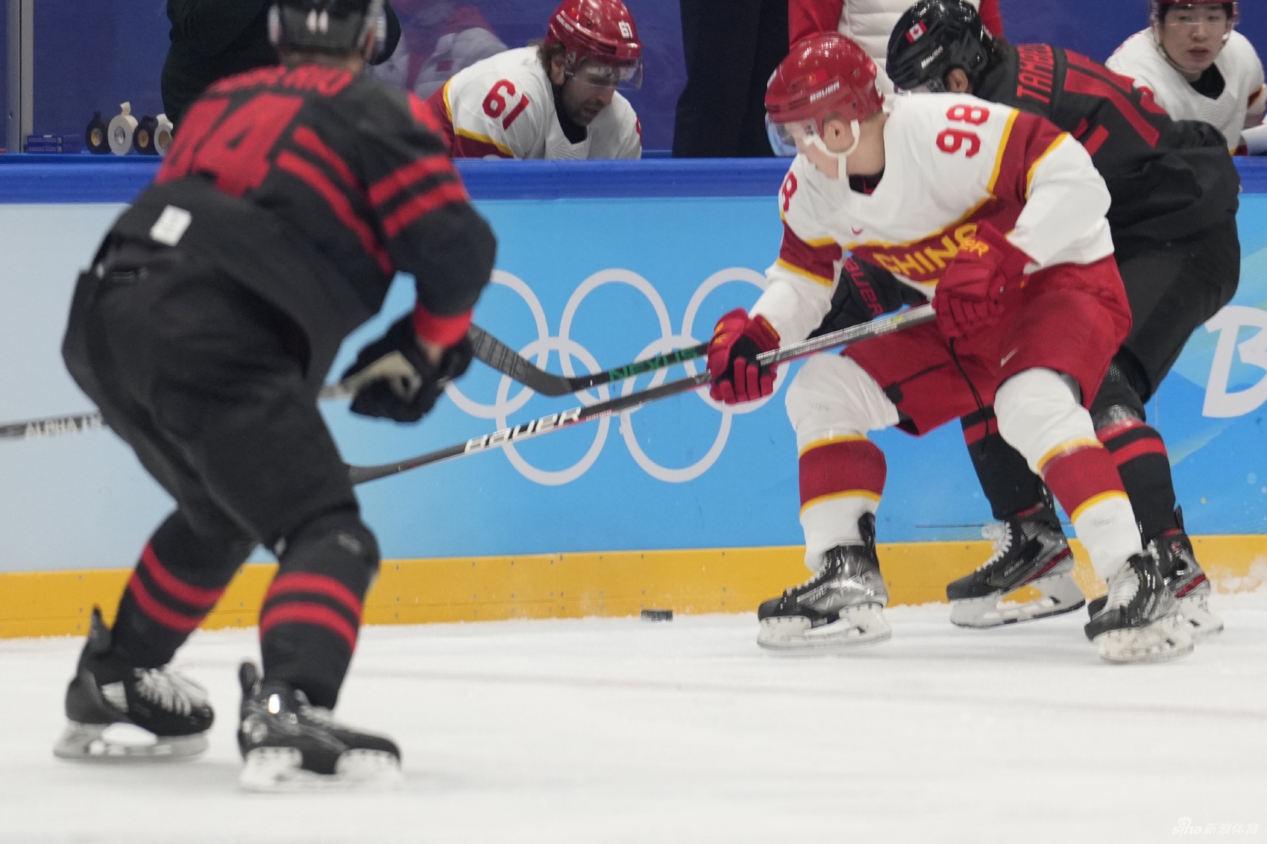 新浪直击男子冰球中国vs加拿大