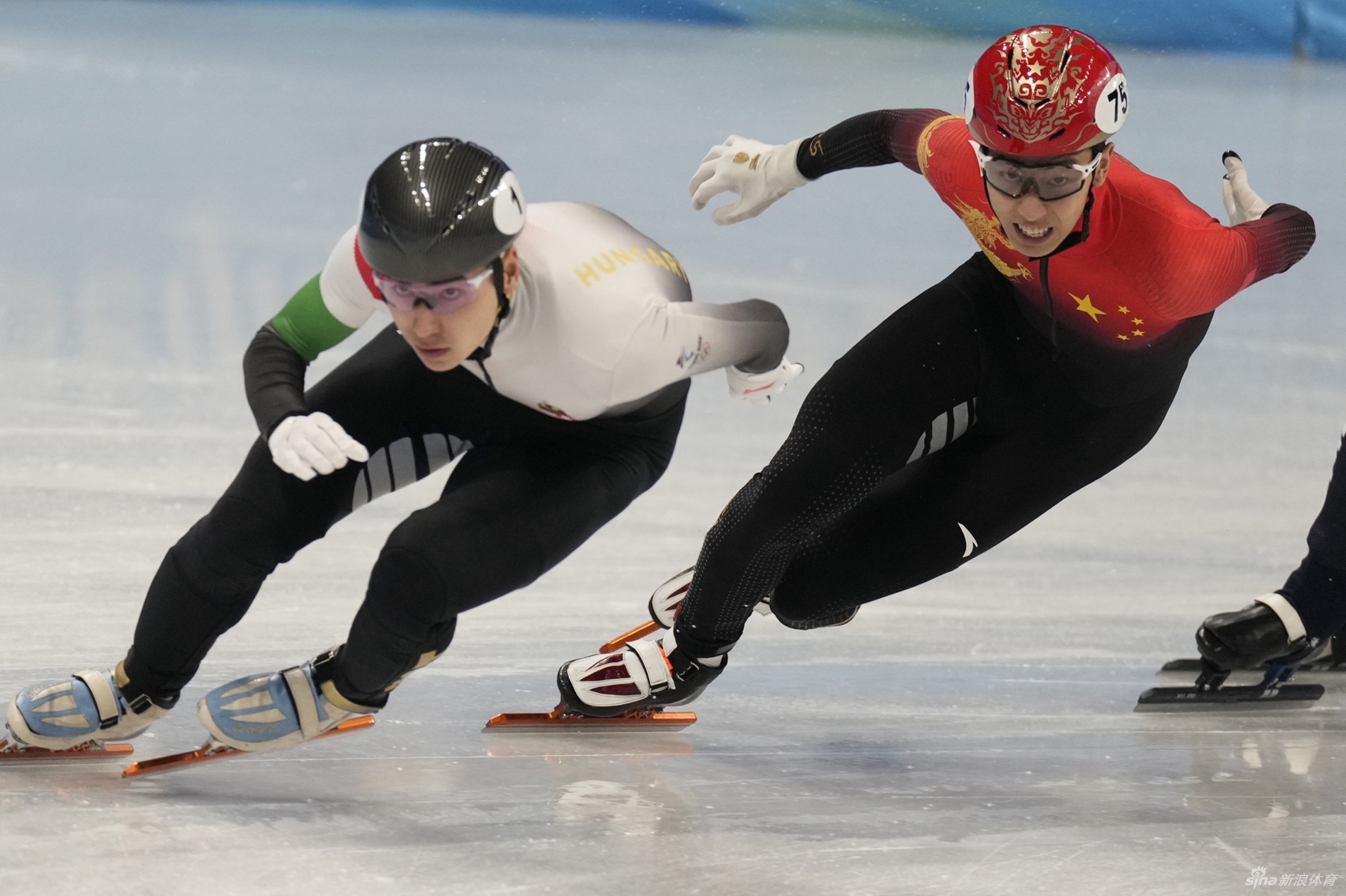 新浪直击速滑500米武大靖/任子威/孙龙晋级