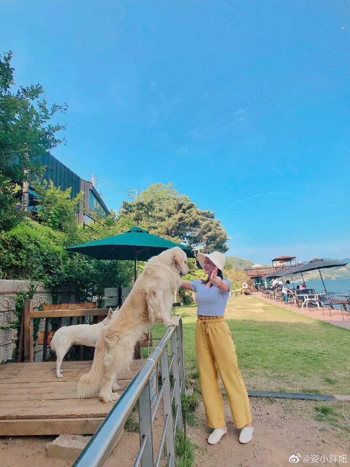 何姿晒出美照祝福高考学子