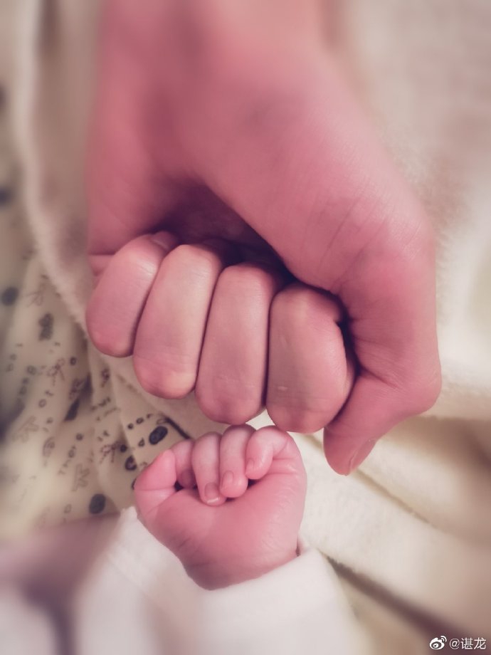 谌龙王适娴当爸爸妈妈了