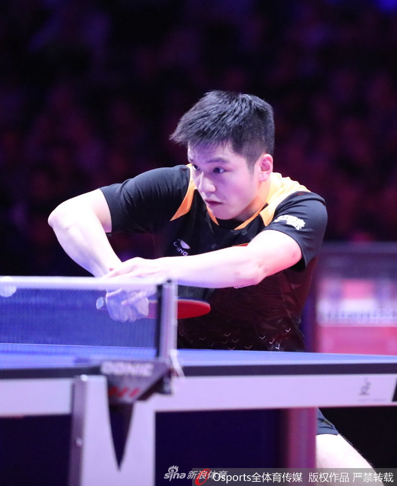 世界杯樊振东4-0萨姆索诺夫