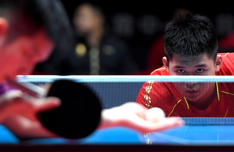 奥运模拟赛樊振东晋级四强
