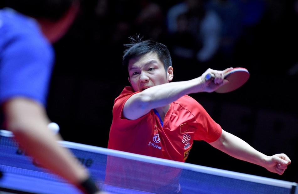 奥地利赛樊振东4-0赵子豪夺冠