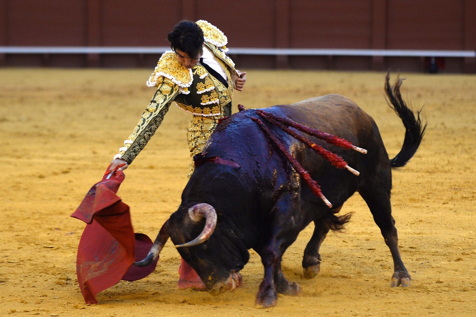 塞维利亚斗牛表演血脉喷张