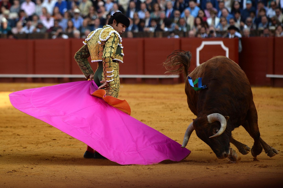 塞维利亚斗牛表演血脉喷张