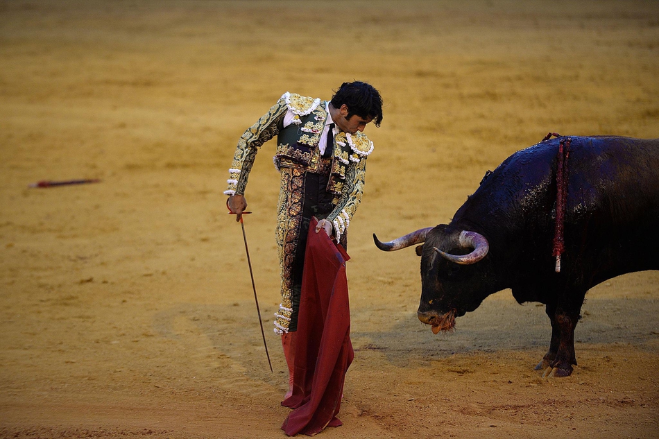 塞维利亚斗牛表演血脉喷张