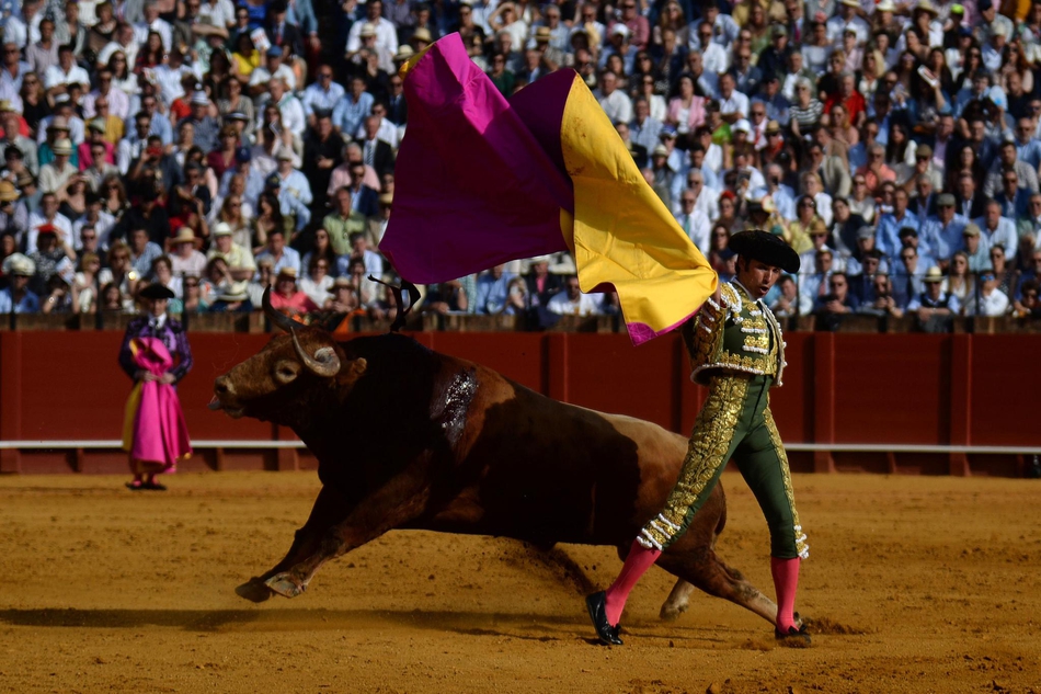 塞维利亚斗牛表演血脉喷张