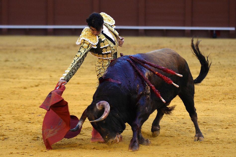 塞维利亚斗牛表演血脉喷张