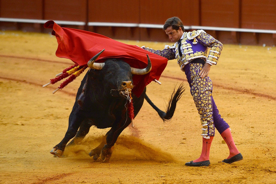 塞维利亚斗牛表演血脉喷张