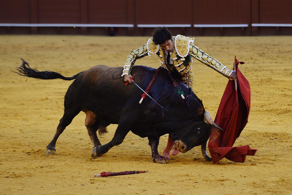 塞维利亚斗牛表演血脉喷张
