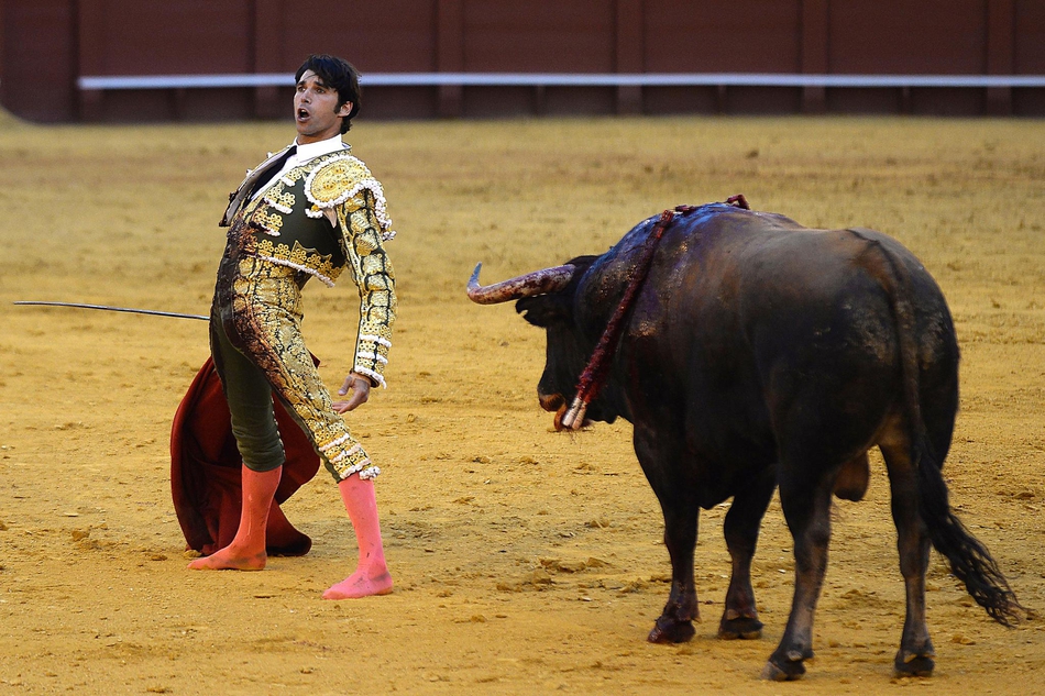 塞维利亚斗牛表演血脉喷张