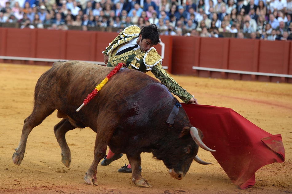 塞维利亚斗牛表演血脉喷张