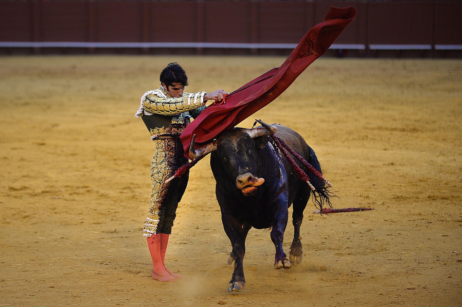 塞维利亚斗牛表演血脉喷张