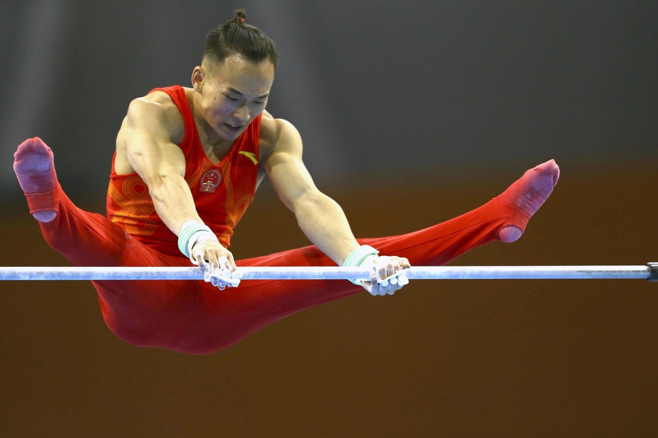 全锦赛男子资格赛赛众国手出战