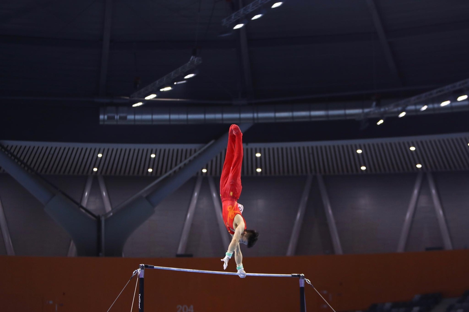 全锦赛男子资格赛赛众国手出战