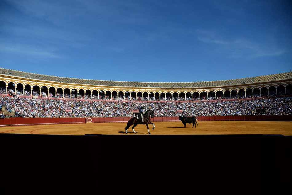 塞维利亚斗牛表演血脉喷张