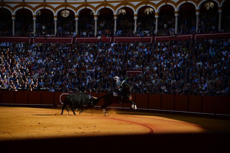 塞维利亚斗牛表演血脉喷张