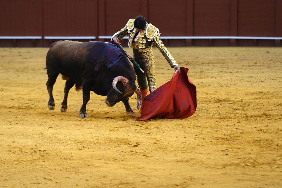 塞维利亚斗牛表演血脉喷张