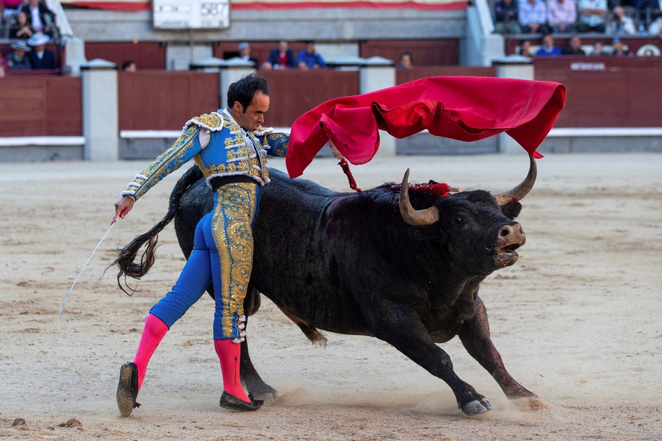 马德里圣伊西德罗斗牛季