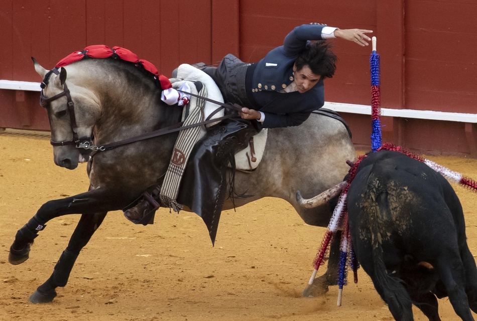 塞维利亚斗牛表演血脉喷张