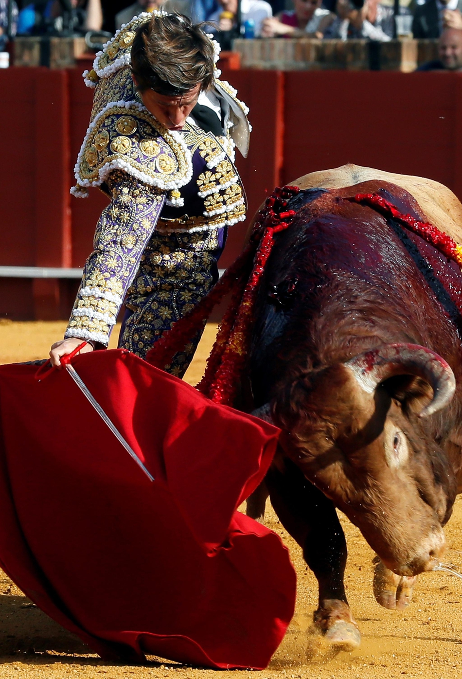塞维利亚斗牛表演血脉喷张