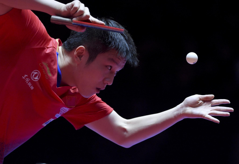 奥地利赛樊振东4-0赵子豪夺冠