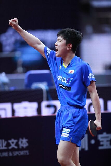 张本智和17岁生日快乐