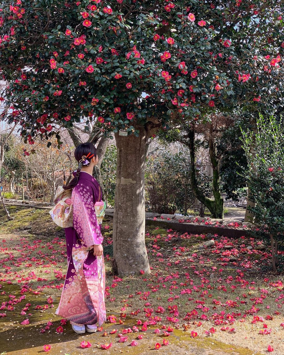 伊藤美诚成年日和服写真
