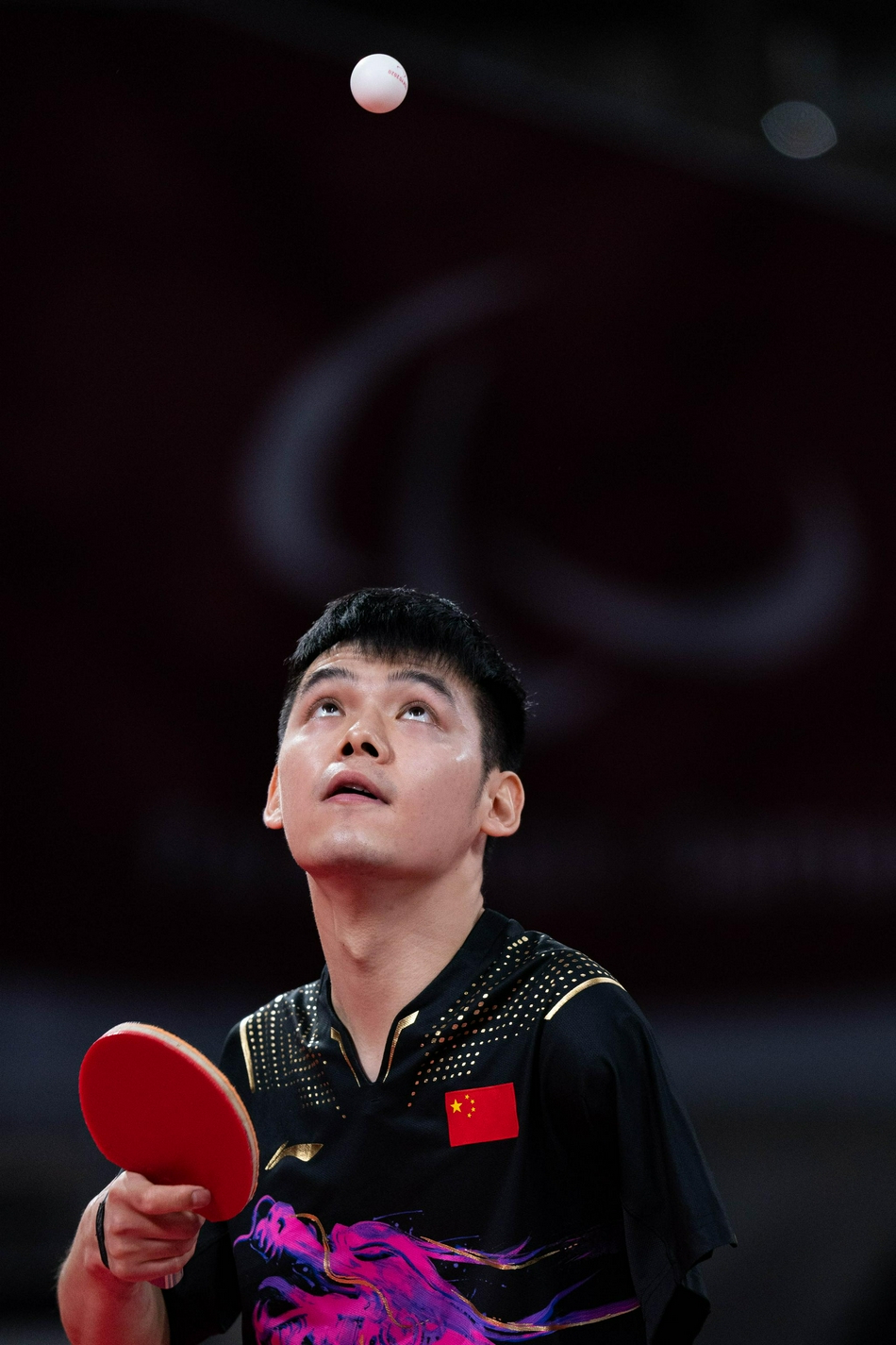 残奥会男子单打8级赵帅夺冠