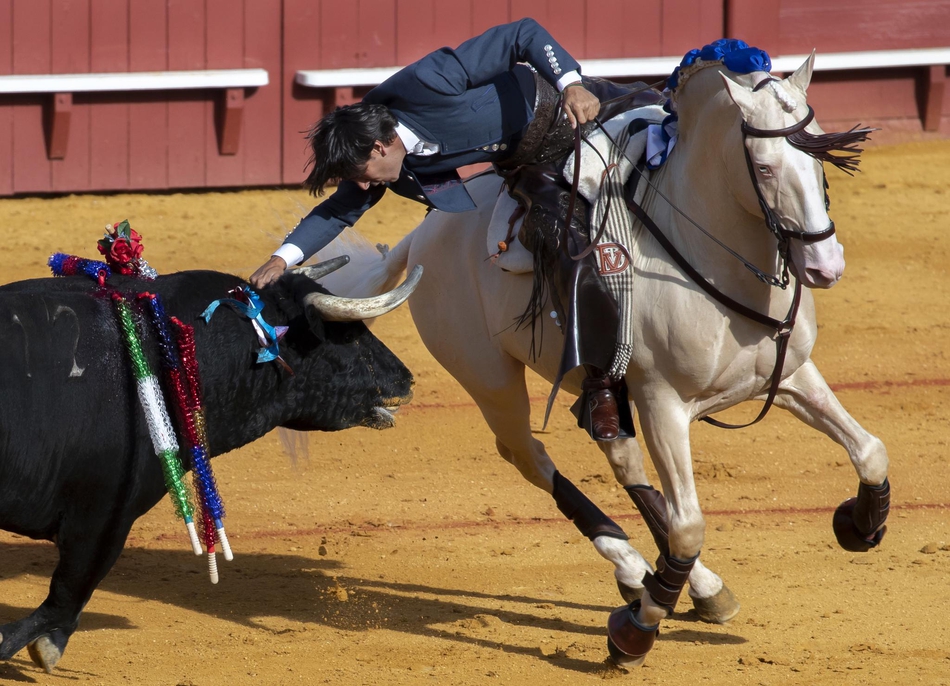 塞维利亚斗牛表演血脉喷张