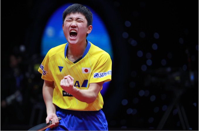 张本智和17岁生日快乐